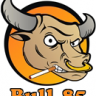 Bull_85