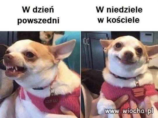 009158ba730aceaf5c847c7b071c3dd8.jpg
