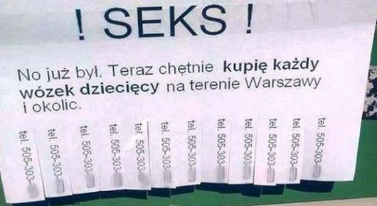 polska_10.jpeg