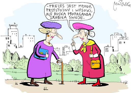 AMjVEpO.png