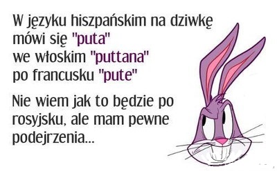 QRyPMih.jpg