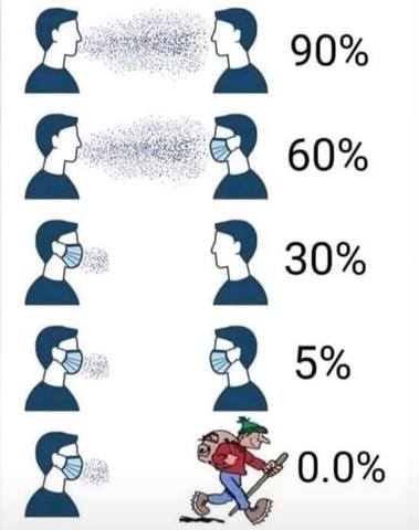 34979091.jpg