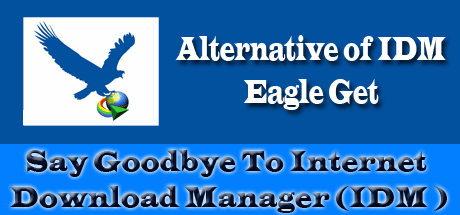 Say-Goodbye-To-Internet-Download-Manager.gif