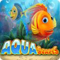 aquascapes_.jpg