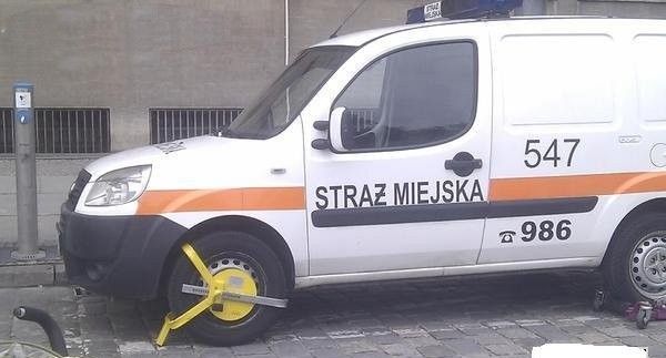 polska_p_7.jpeg