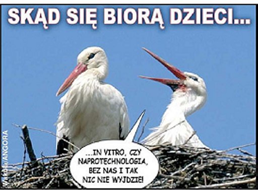 1412222ec3b9e33Image4.jpg