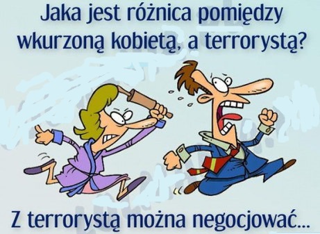 SmywZG8.jpg