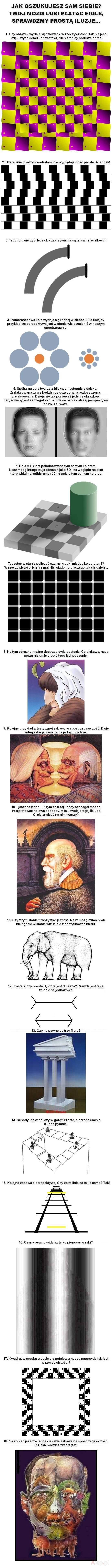 aVeRatj.jpg