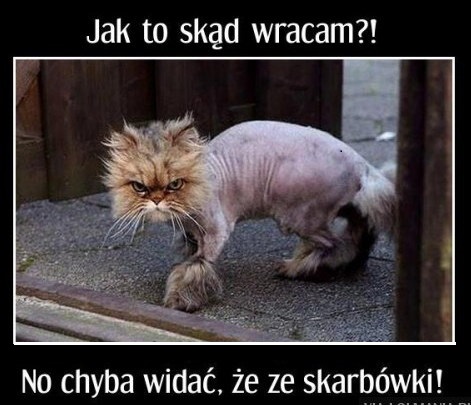 fiYGjqi.jpg