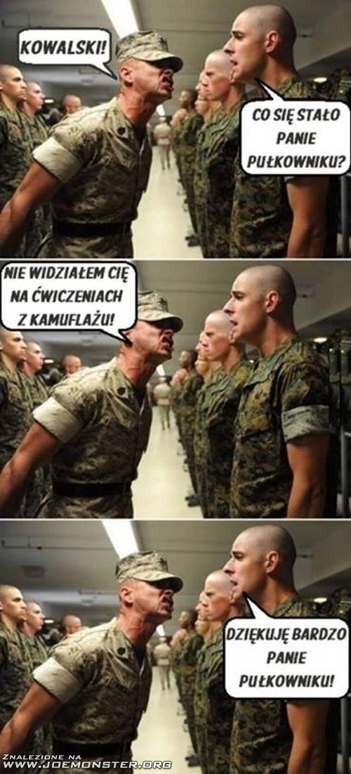 szergowy_kowalski.jpg