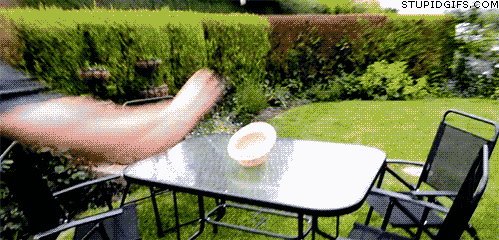 jTy0Ux4.gif