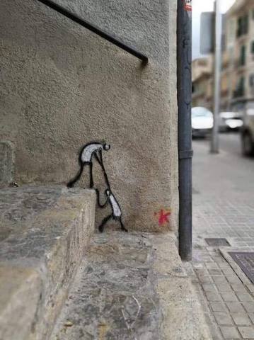 36486550.jpg