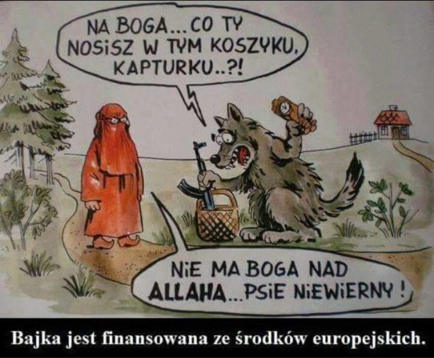IgzxXRO.jpg