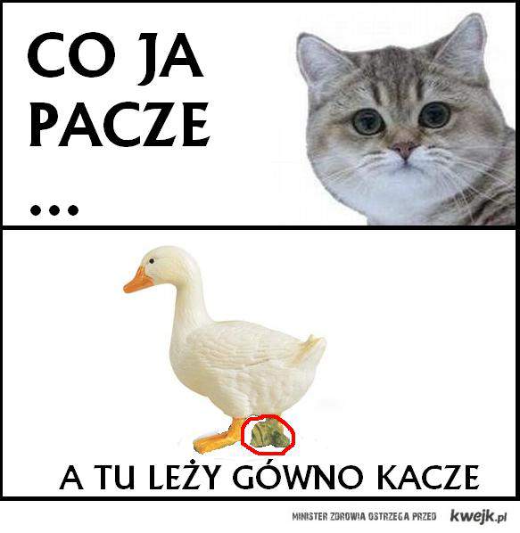 HabSjKP.jpg