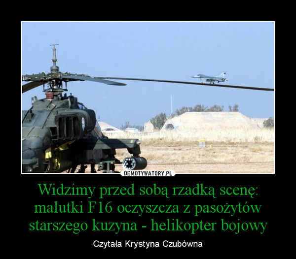1375875284_dal4qr_600.jpg