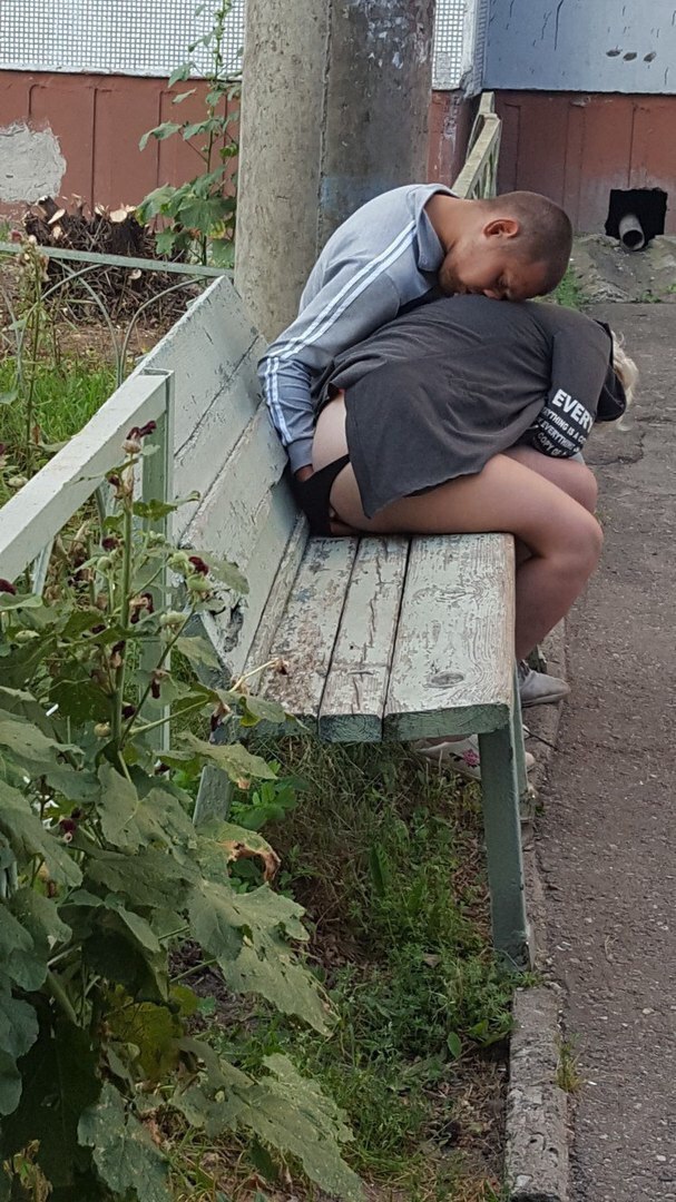 10248809.jpg