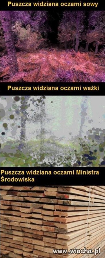 329ca91a48478187339c3d958ee4e452.jpg