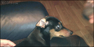 xCiMAIe.gif