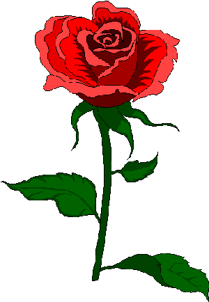 31866_172.gif