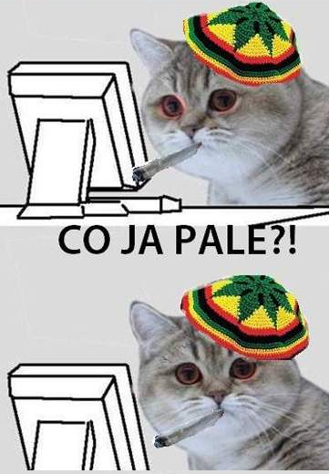 3OW2jqv.jpg