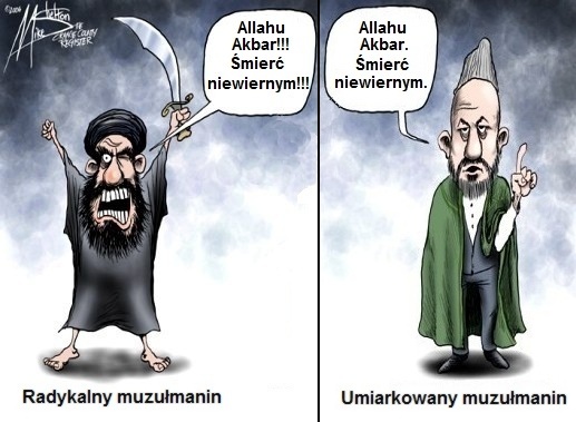 9TVoUzT.jpg