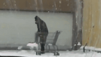 27b62ad1cfca1639b7b081d9d5d6d88a.gif