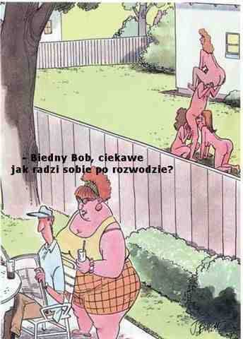 1140810cd46275dpo_rozwodzie.jpg