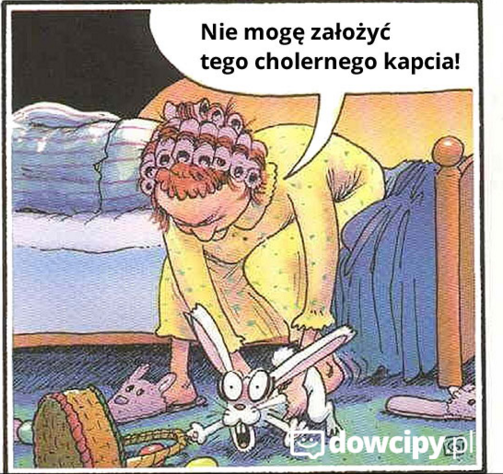 MZvMVdy.png