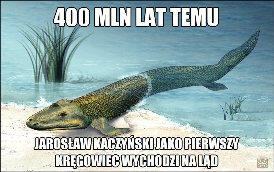 edb76e0de7a2ed182882671b771baa46,1180,0,0,0.jpg