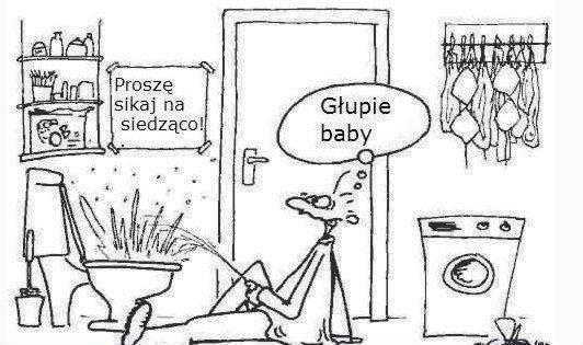 158994922142499sikaj_na_siedzaco.jpg