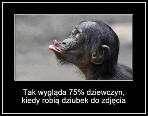 ea5bc6c69b501382aae132e9cfa41f18.jpg