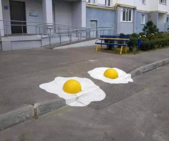 35952317.jpg