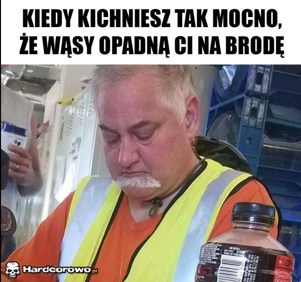 162851522affda81.jpg