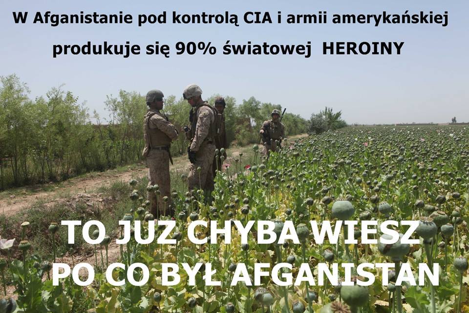 7gEL1oo.jpg