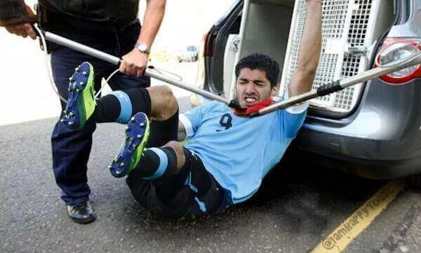 suarez150.jpg