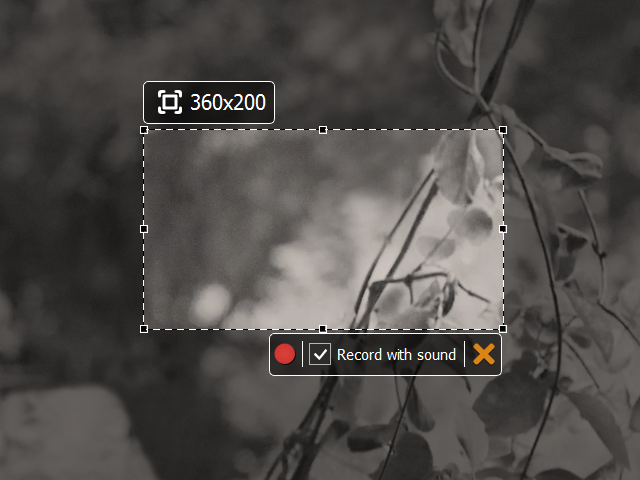 Screen%2006.png