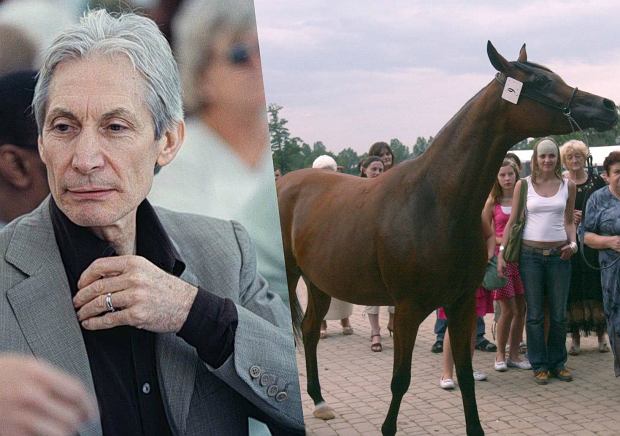 z19784723Q,Charlie-Watts-na-jednej-z-aukcji--w-Janowie-Podlas.jpg