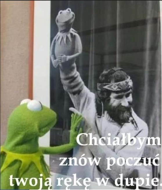 t6tjdcW.jpg