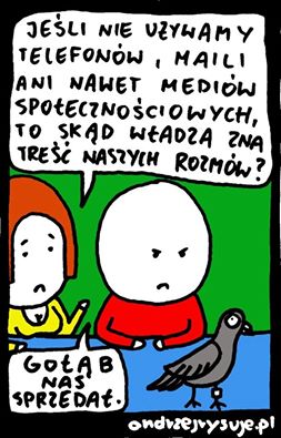 NEns10D.jpg