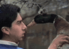 nose_bitten_by_duck_funny_animated_gif.gif