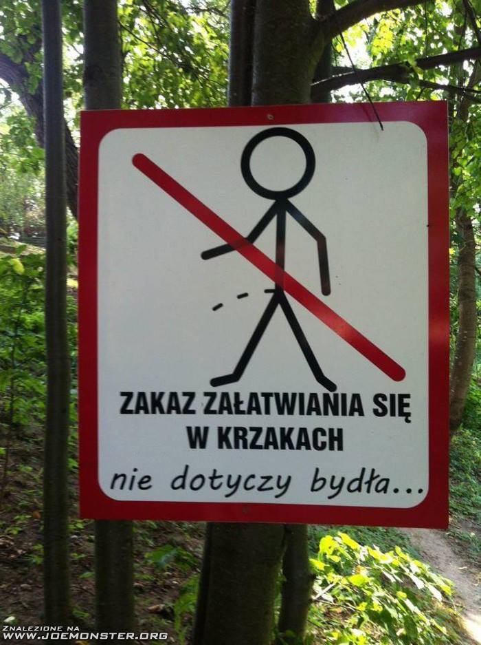 bydlo_moze_szczac_spokojnie.jpg