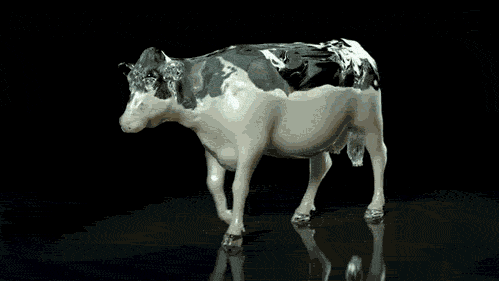 z7QlW89.gif