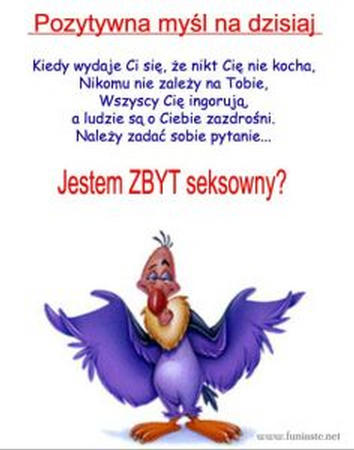 bFOFI.jpg