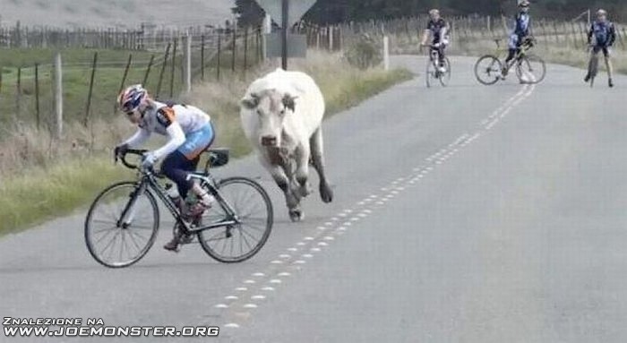 09dodatkowa_motywacja_do_szybkiego_pedalowania.jpg
