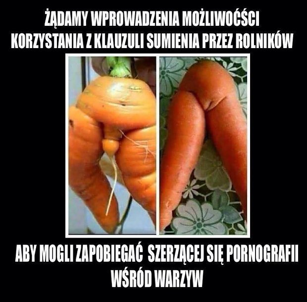 l_1522298179ded0cvege_prono.jpg