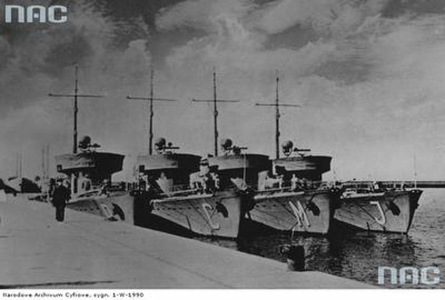 5915123-tralowce-orp-rybitwa-czajka-900-607.jpg