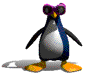 nl8dr1U.gif