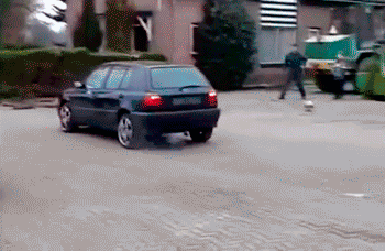 12411983c1dae2fpicture_783.gif