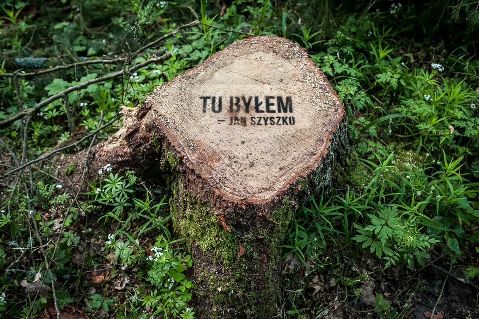 z21865713V,-Tu-bylem----Jan-Szyszko-w-Puszczy-Bialowieskiej--.jpg