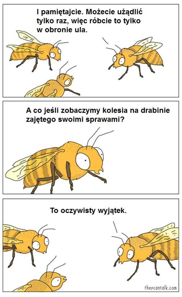 logika_pszczol.jpg
